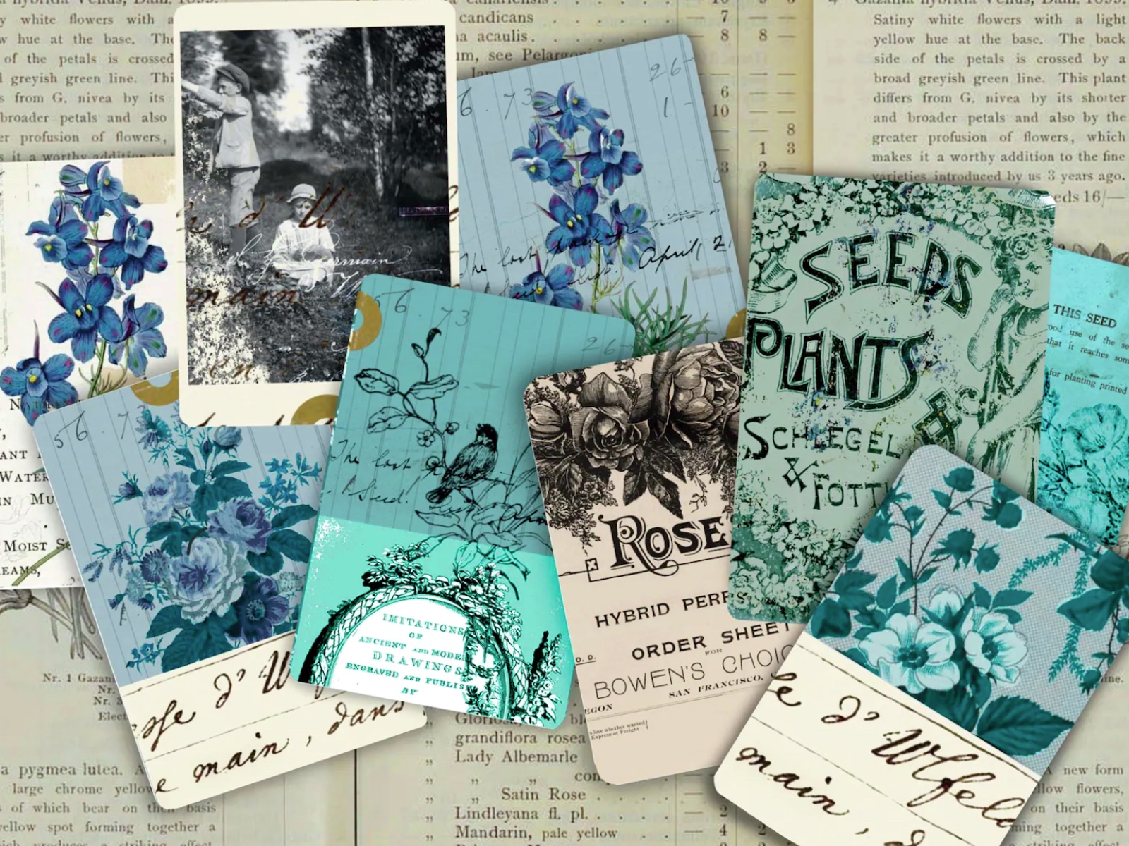 Set of 12 blue-themed coin envelopes with delicate floral patterns for crafting and journaling